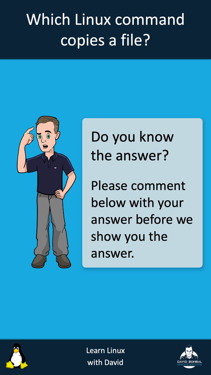 David Bombal tweet media