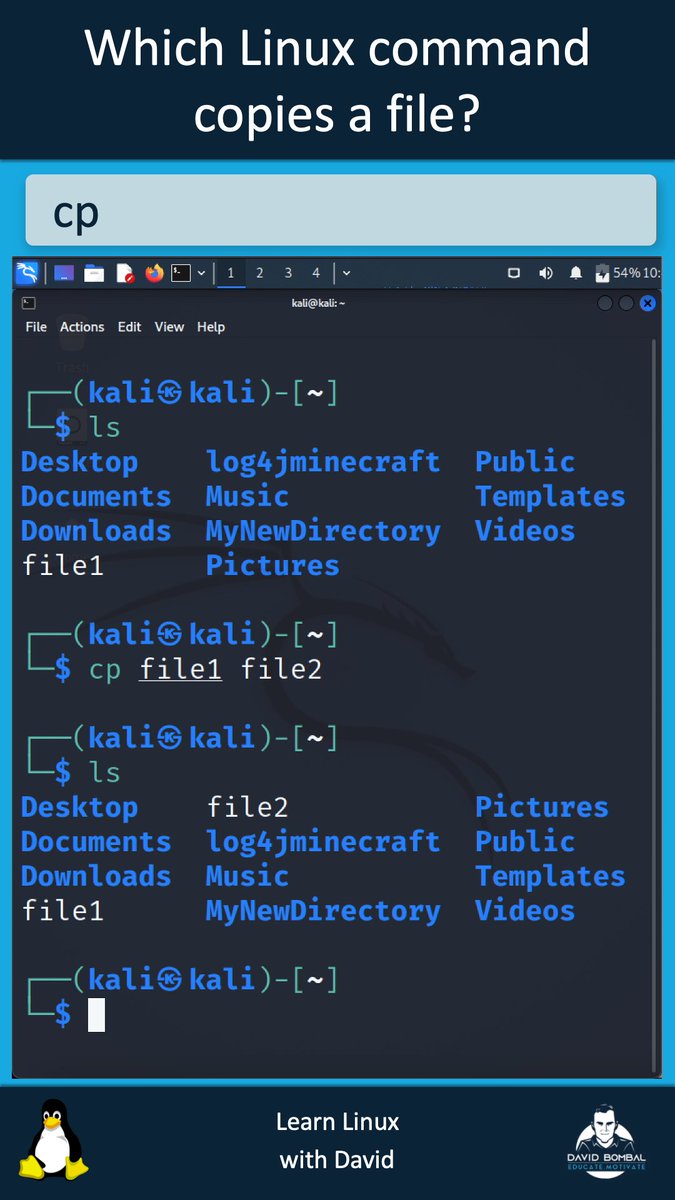 David Bombal tweet media