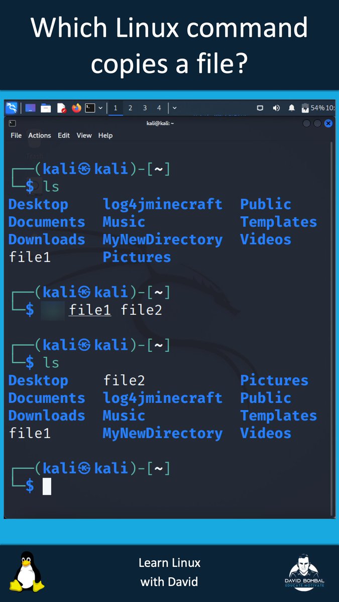 David Bombal tweet media