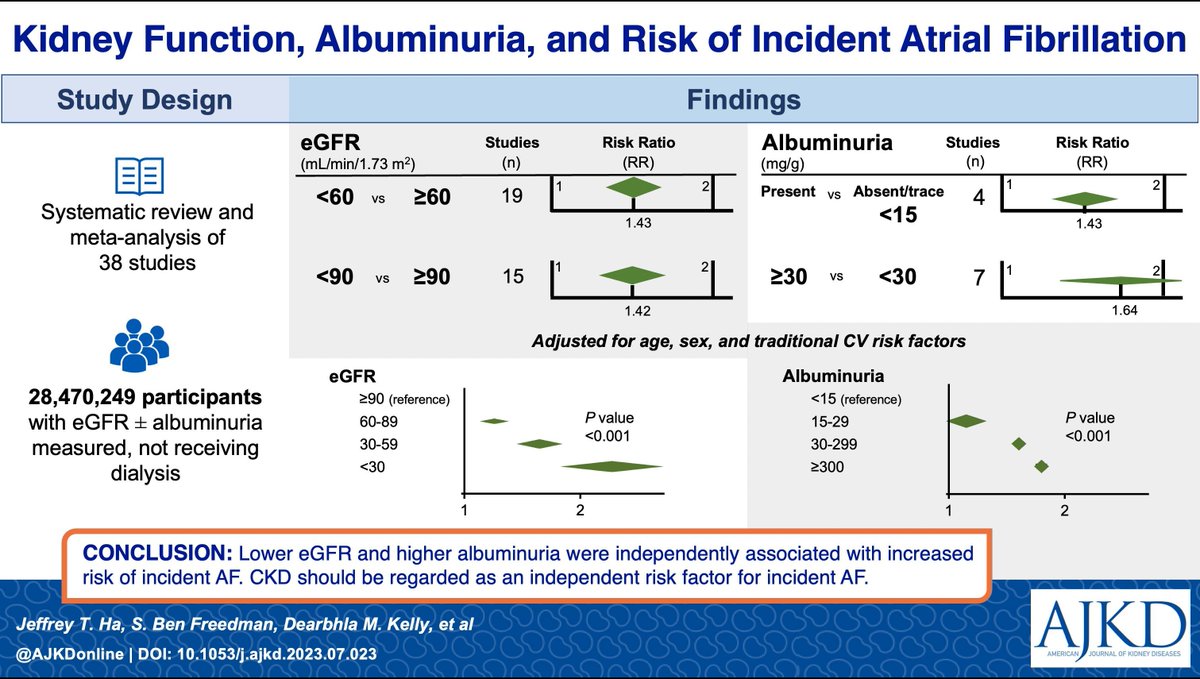 Kidney Function, Albuminuria and Risk of Incident Atrial Fibrillation: A Systematic Review and Meta-Analysis buff.ly/3Q22tca @_jeffreyha @DearbhlaKelly4 @brendonneuen @VladoPerkovic @MinJun____ @badves @georgeinstitute @UNSWMedicine #VisualAbstract