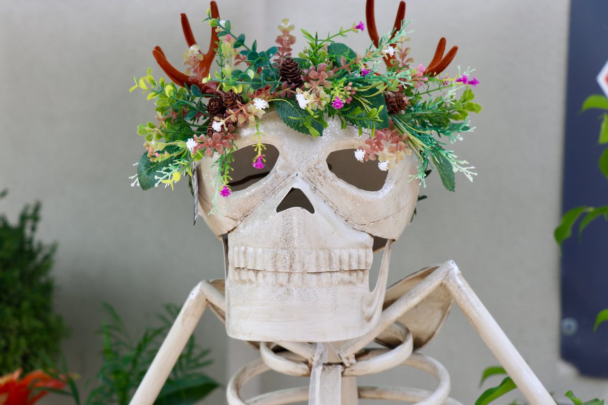 Curious how we celebrate Halloween in the Rocket City? Try a historic ghost walk! Or check out some of the various parties, festivals, and trunk-or-treats being held this weekend! 

Learn more from Rocket City Mom: ow.ly/v86t50PZN9l