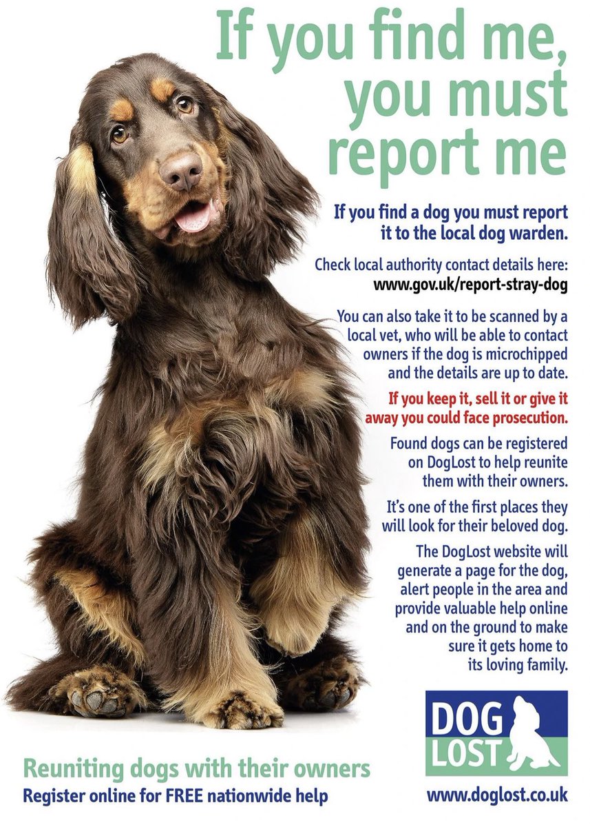 #FF <a href="/DogLostUK/">DogLost</a> is the UK's largest database of lost, stolen and found dogs. Run entirely by volunteers, DogLost offer a FREE service, helping reunite dogs with families. They do amazing work! doglost.co.uk 💙 to thank them. RT to help raise awareness 🐾