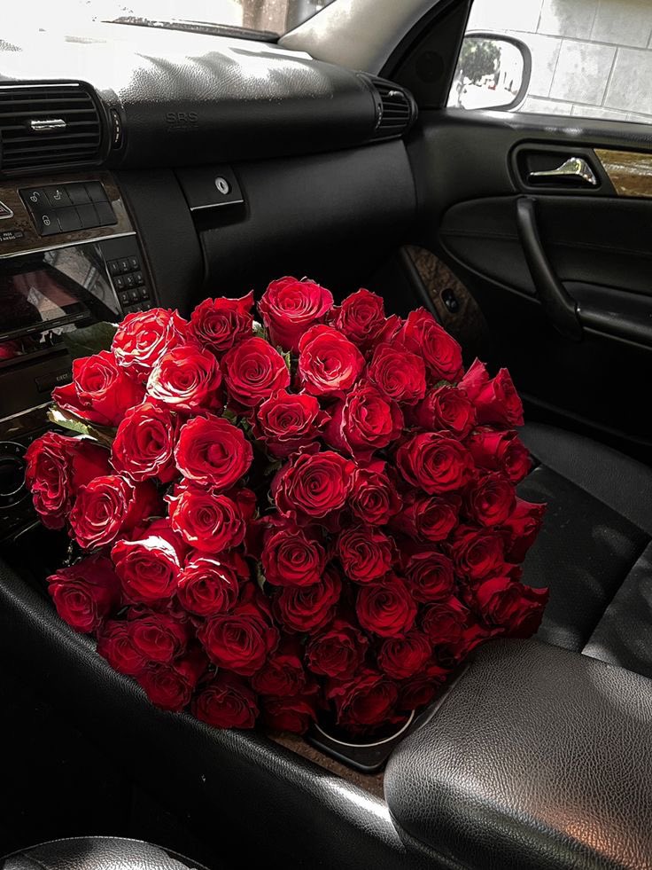 Red roses❤️
