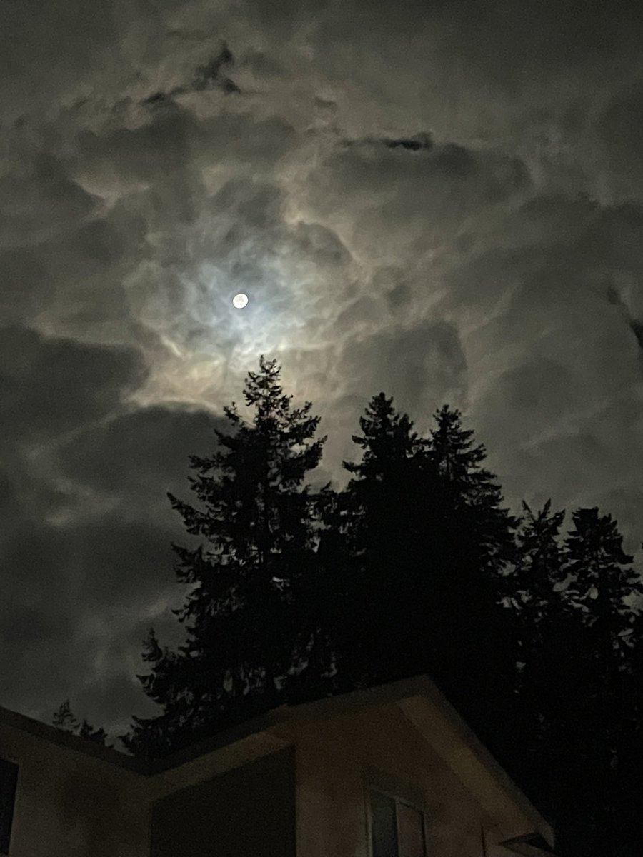 Nikki she/her tweet media