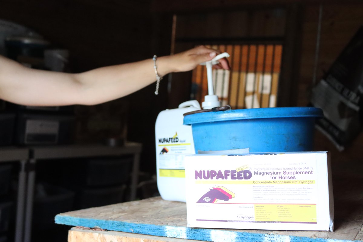 allisonspringer's tweet photo. Buckeye Nutrition horse feed and Nupafeed: a match made in feed room heaven. Top-tier nutrition meets targeted supplements for your equine superstar. 

📸 Katherine Rizzo
#nupafeed #buckeye #buckeyenutrition #feedroom #horsediet #allisonspringer #aseventing #eventer #equestrian https://t.co/EWBBPlY7Ik