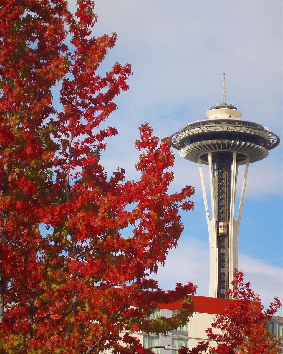 southlakeunion's tweet photo. The leaves changing in Seattle is truly a wonder. 😍🍂🫶

📷: hjmalaret on Instagram #SpaceNeedle #FallForSLU #FallInSeattle https://t.co/vCpO1HAwcW