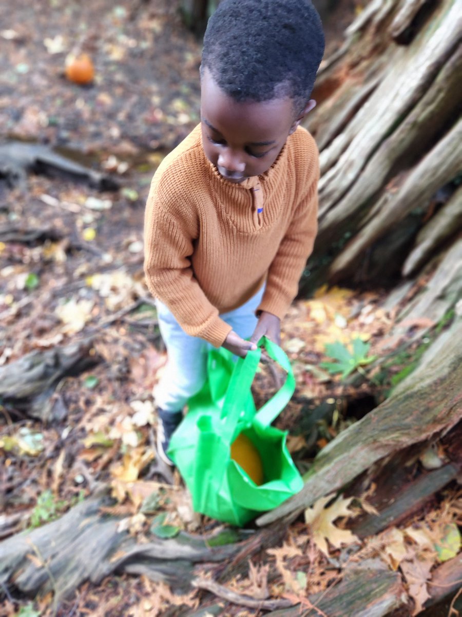 Caulfeild School tweet media