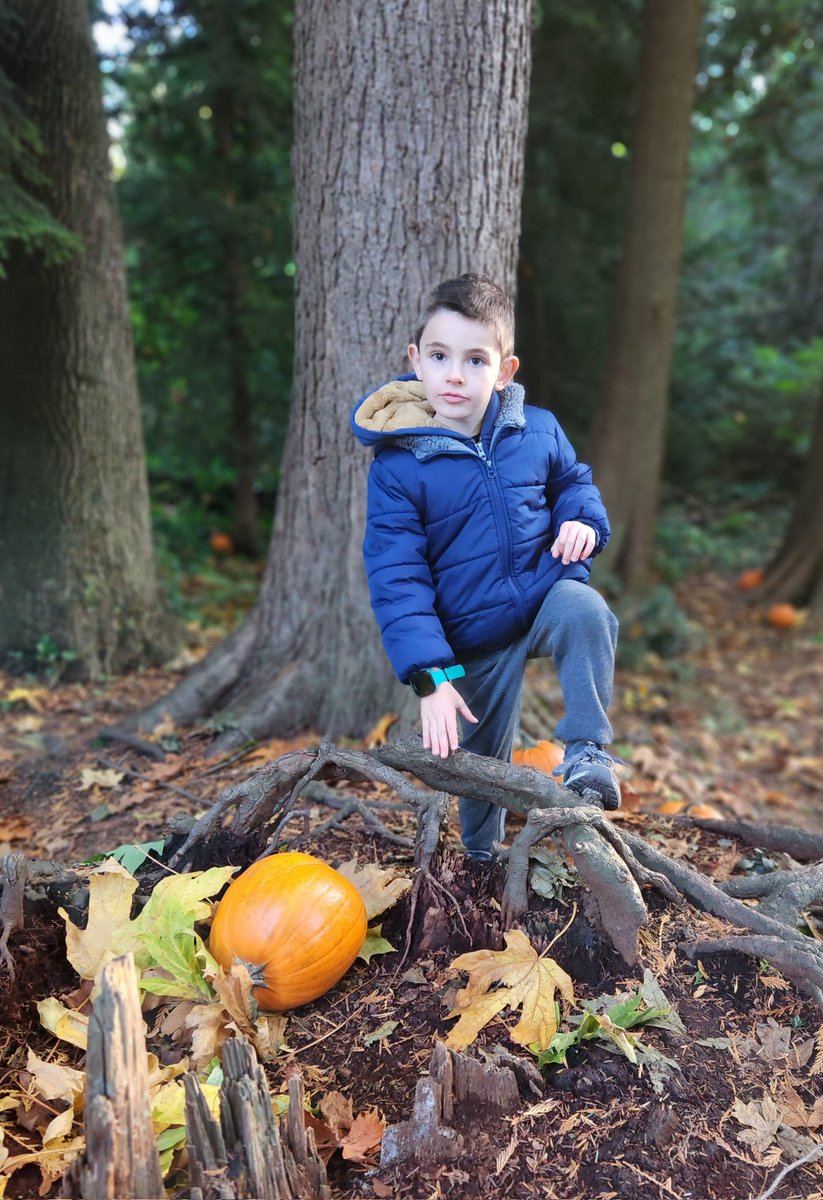 Caulfeild School tweet media