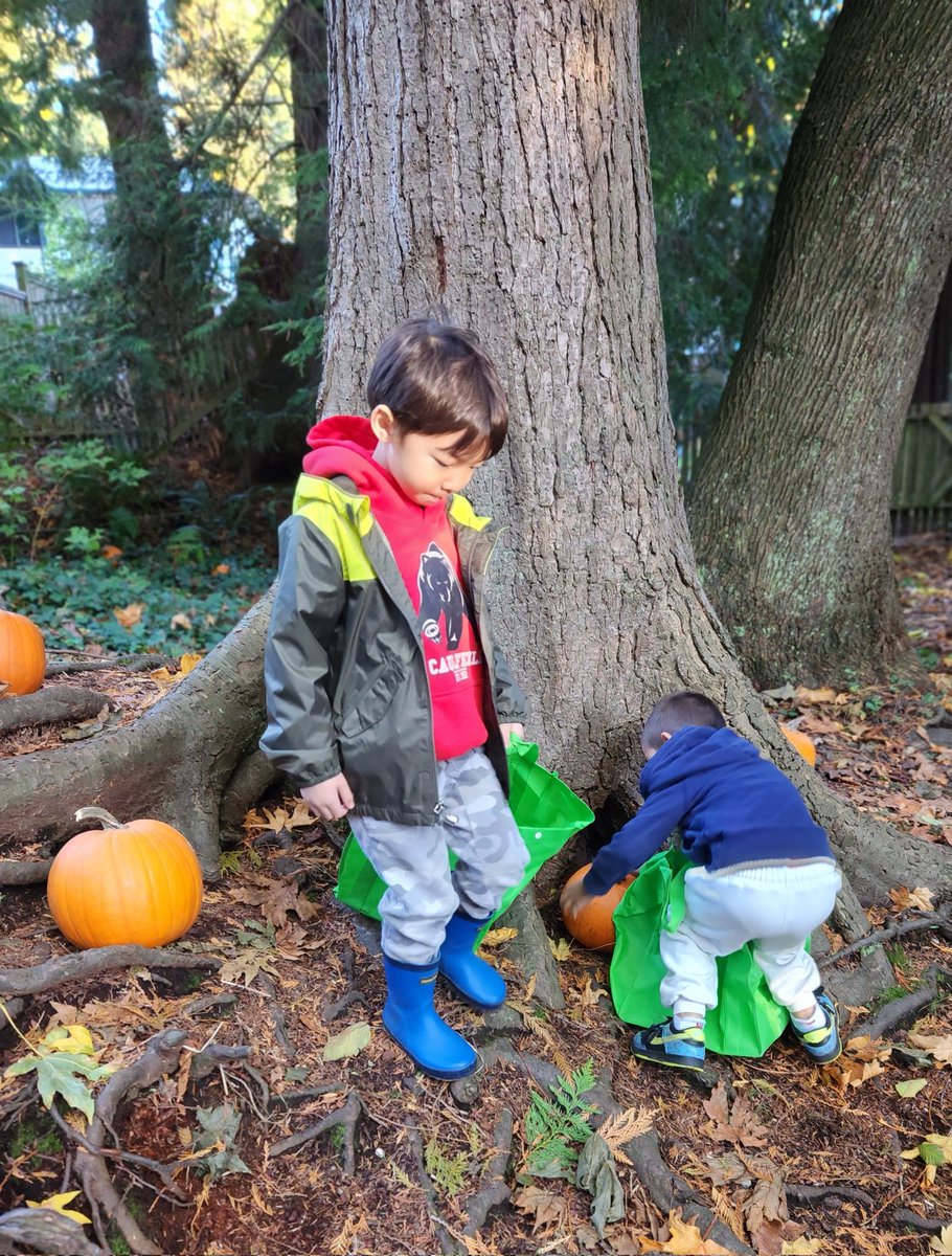 Caulfeild School tweet media