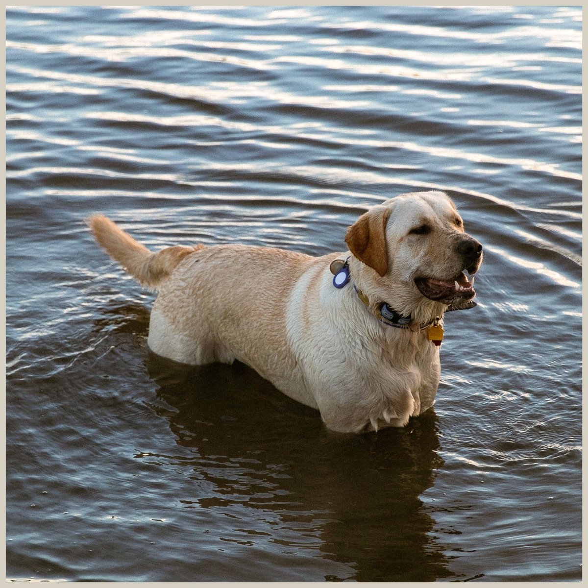 I'm happy to announce we're teaming up with Tourneforte from Myrtle Beach, SC to help them release some new music!! Today, we present to you the digital single "Tessellate"! Stream it wherever you listen to music, come back in about a month for our next ACUN/TF announcement! 😉