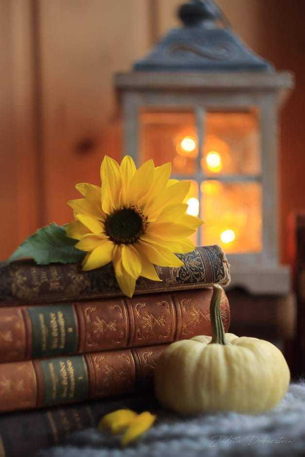 Beim letzten #FanFriday haben wir es uns gemütlich gemacht und bei einer warmen Tasse Tee eure schönsten Indoor-Bilder bewundert.🍵

Vielen Dank an Judith Doberstein, Steffi Heier, Chantal Anders und NiCi NiCi für die tollen Fotos!🎊📷