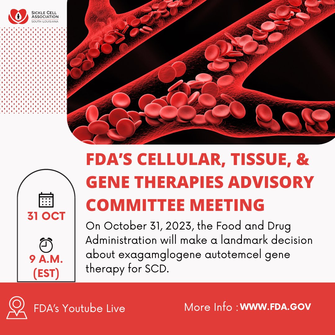 Tune in to the FDA's Cellular, Tissue, and Gene Therapies Advisory Committee Meeting on Oct. 31st. The Food and Drug Administration will make a landmark decision about gene therapy for SCD. Watch Live: youtube.com/live/M90IjjxOd…

#SickleCellDisease #SickleCellAwareness