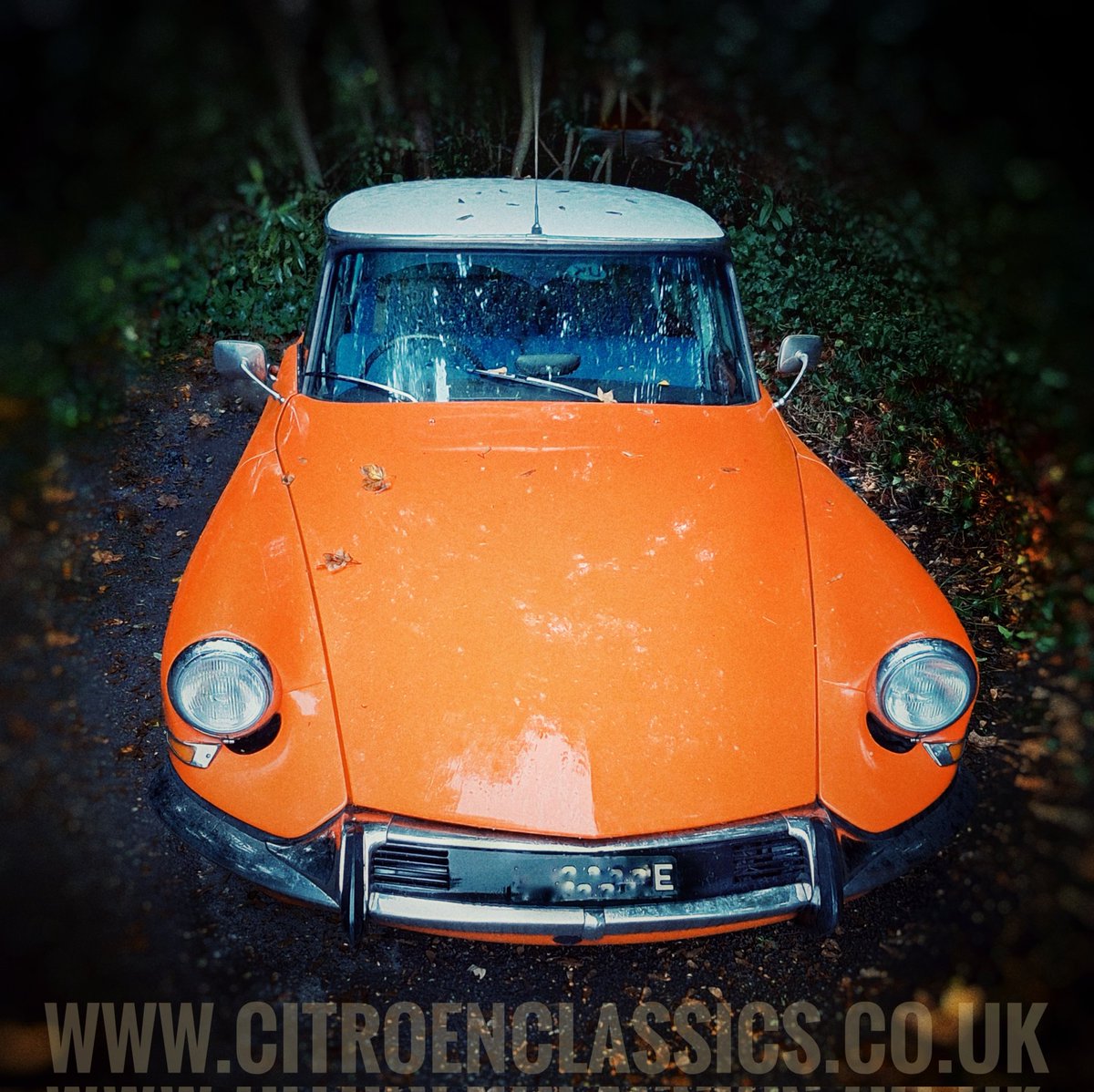 Who needs a 🎃 when you have an orange ID to drive.
#FrenchCarFriday 
#CitroenID 
#CitroenDS