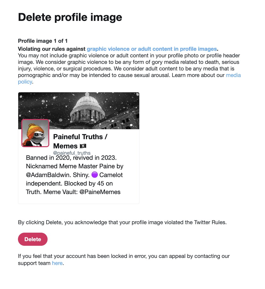 random128383589's tweet photo. @elonmusk @SethDillon Likewise, I refuse to delete my pirate patch avatar from @paineful_truths, especially since @Support has already admitted that I did not violate the rules and that the account should be unlocked (it isn't, they're still trying to force me to delete the image and take a strike). https://t.co/qfXO5dKQJ9