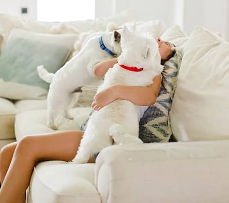 clawguard's tweet photo. CLAWGUARD: Because every pet parent's home deserves protection. Defend your space from scratches, one product at a time.

https://t.co/KwhvCZwl3v https://t.co/9aoRFM9o2V