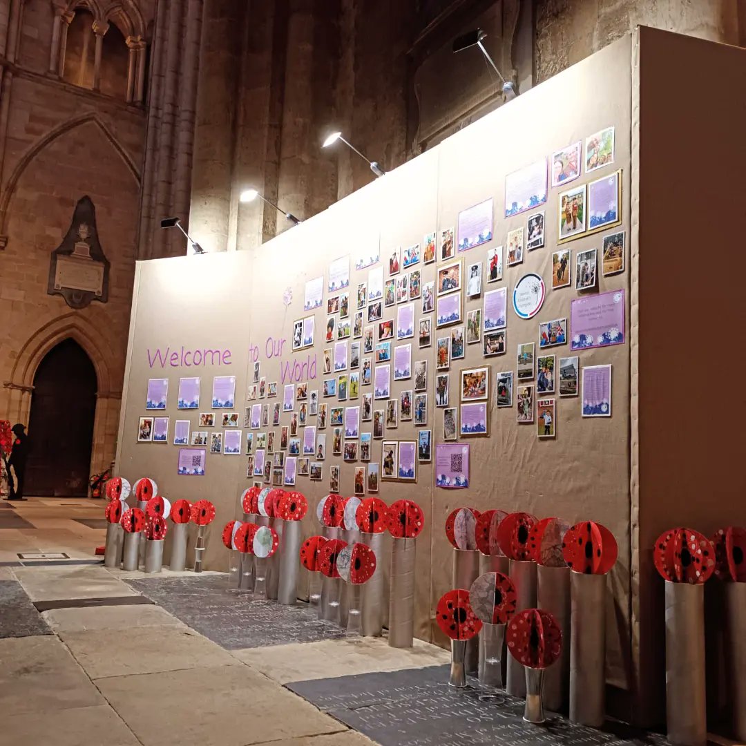 NYSCChampion's tweet photo. Another lovely afternoon @riponcathedral putting the finishing touches onto the 'Welcome to Our World' exhibition.  It features beautiful poppy artwork created by children across North Yorkshire.  It has been a joy to work on this project.  #poppies #dandelions #military https://t.co/AYFLkimZsf
