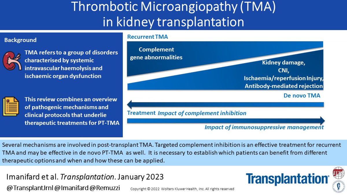 TransplantJrnl's tweet image. The latest developments on how to treat transplant recipients diagnosed with Thrombotic microangiopathy (TMA) is described in the review paper by Remuzzi and colleagues in the November issue. #TransplantTwitter #VisualAbstract bit.ly/3MlbrQN