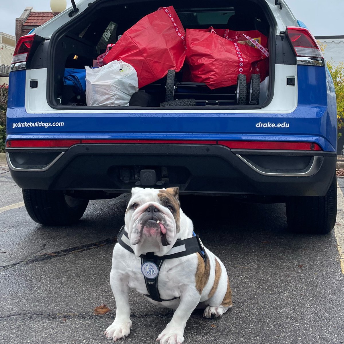 DrakeUGriff's tweet photo. Yesterday, some friends were visiting the @drakelawschool , and they took it upon themselves to collect Little Free Pantry items for me! A whole #griffmobile trunk full. I am so grateful. Thank you, friends. ❤️ #DSMHometownDog @DrakeUniversity https://t.co/RbhuD8mMaJ