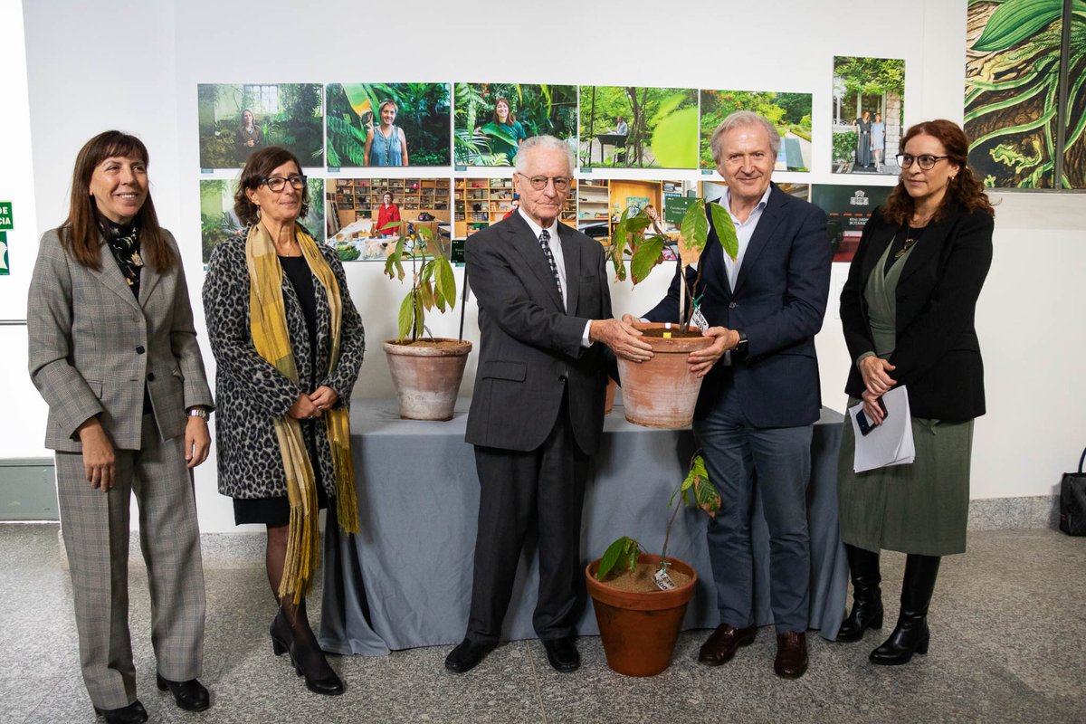 EmbajadaEcuESP's tweet photo. #Ecuador dona al @RJBOTANICO la primera planta de #cacao de la variedad nacional #finodearoma, la más antigua del mundo (3.500 A.C)

Anunciaron una próxima exposición sobre el origen del cacao, en la Amazonía ecuatoriana,  para el verano 2024.

 Más📲https://t.co/mjDT6GtCGG https://t.co/UeflRTLEkk