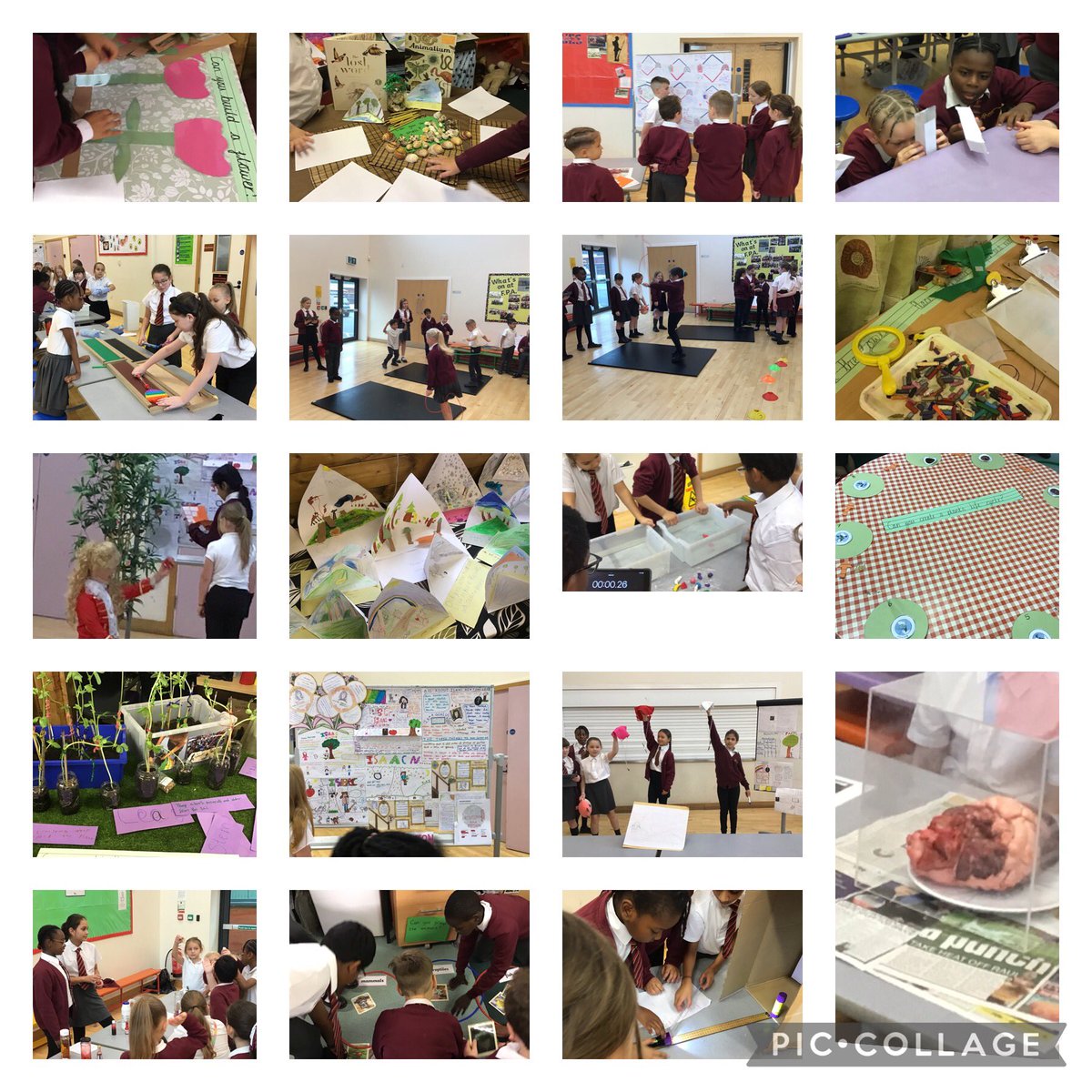 Jas Hayer (@jas20587305) on Twitter photo The children did us proud by creating a fabulous science fair today unity, excellence, curiosity <a href="/FibParkAcademy/">Fibbersley Park Academy</a> <a href="/Year5Fibbersley/">Year5Fibbersley</a> <a href="/VicAcademies/">Victoria Academies Trust</a> The children did us proud by creating a fabulous science fair today unity, excellence, curiosity <a href="/FibParkAcademy/">Fibbersley Park Academy</a> <a href="/Year5Fibbersley/">Year5Fibbersley</a> <a href="/VicAcademies/">Victoria Academies Trust</a>