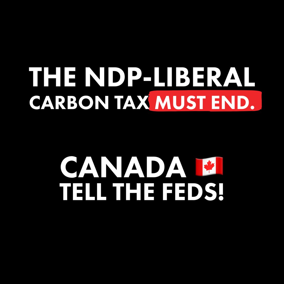 The federal government has decided that one part of Canada with one type of home heating is worthy of a carbon tax break, while those living elsewhere using another type of home heating do not. 

Further, after telling Canadians for years that rebates covered the costs of the