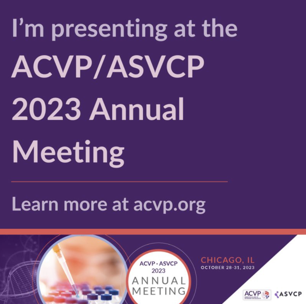 suresh_aarathi's tweet image. I&apos;m excited to present my work on &quot;Effects of oral ambroxol on neuropathological measures in the canine model of Mucopolysaccharidosis IIIB,&quot; at the annual meeting of the ACVP/ASVCP in Chicago.
Keep an eye out for my poster at the late-breaking session.
#ACVP2023