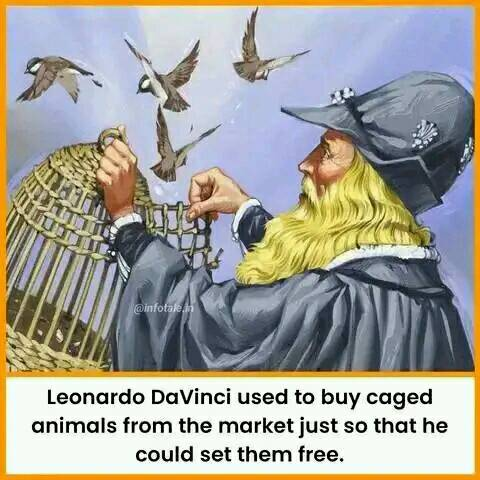 KatharinaPistor's tweet photo. "#LeonardoDaVinci #cagedanimals #birds #Freedom #Genius #Renaissance #Europe #nature #Leonardo #DaVinci #liberation #art #Science #natural #Creative #KNOWLEDGE https://t.co/j2qhXqntph