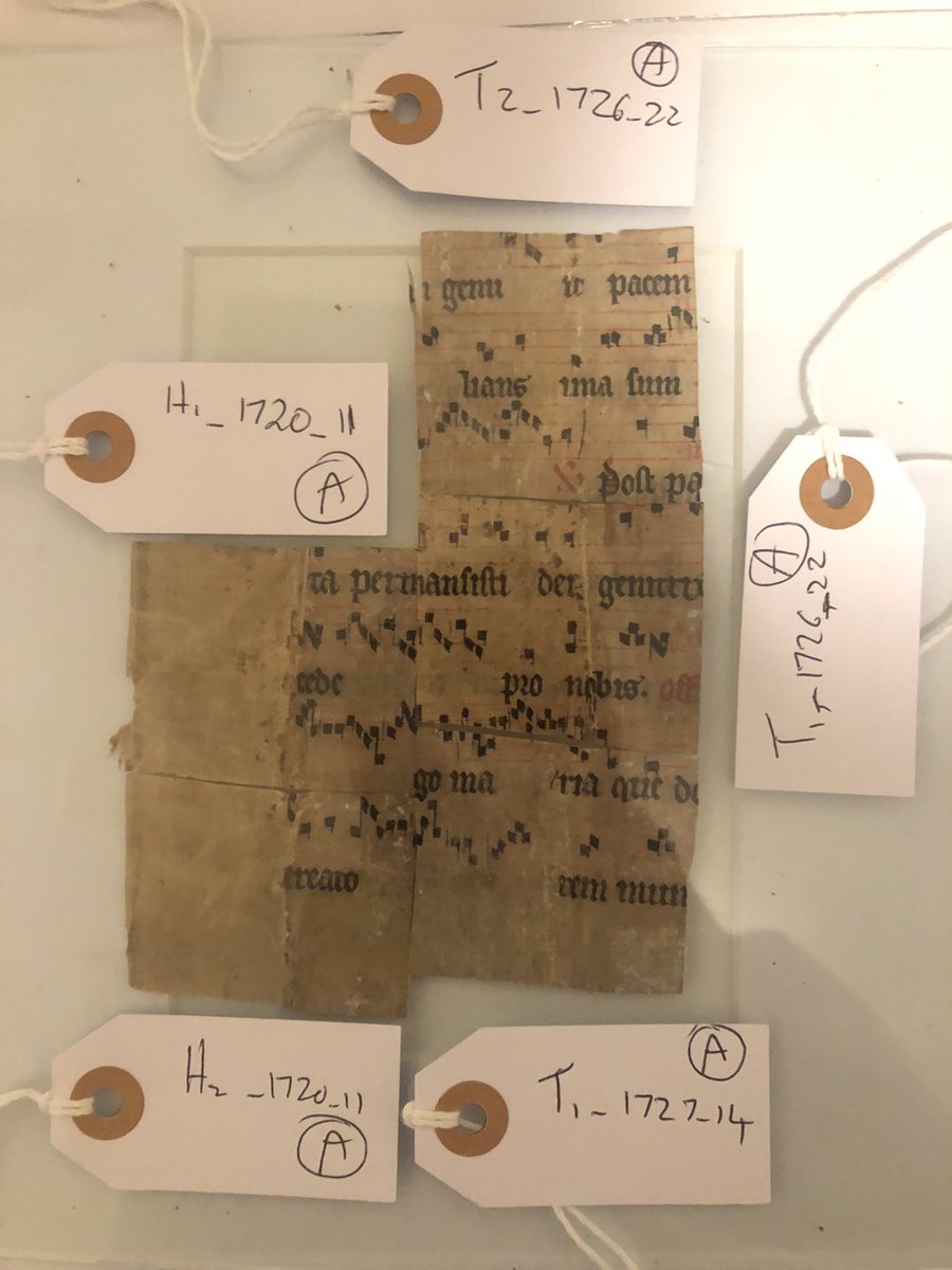 NickandBooks's tweet image. Super xcited! First of my fragments published by the team at Cantus!  It is from a late 13th Century Cistercian gradual. #fragmentfriday 

cantusdatabase.org/source/1000008