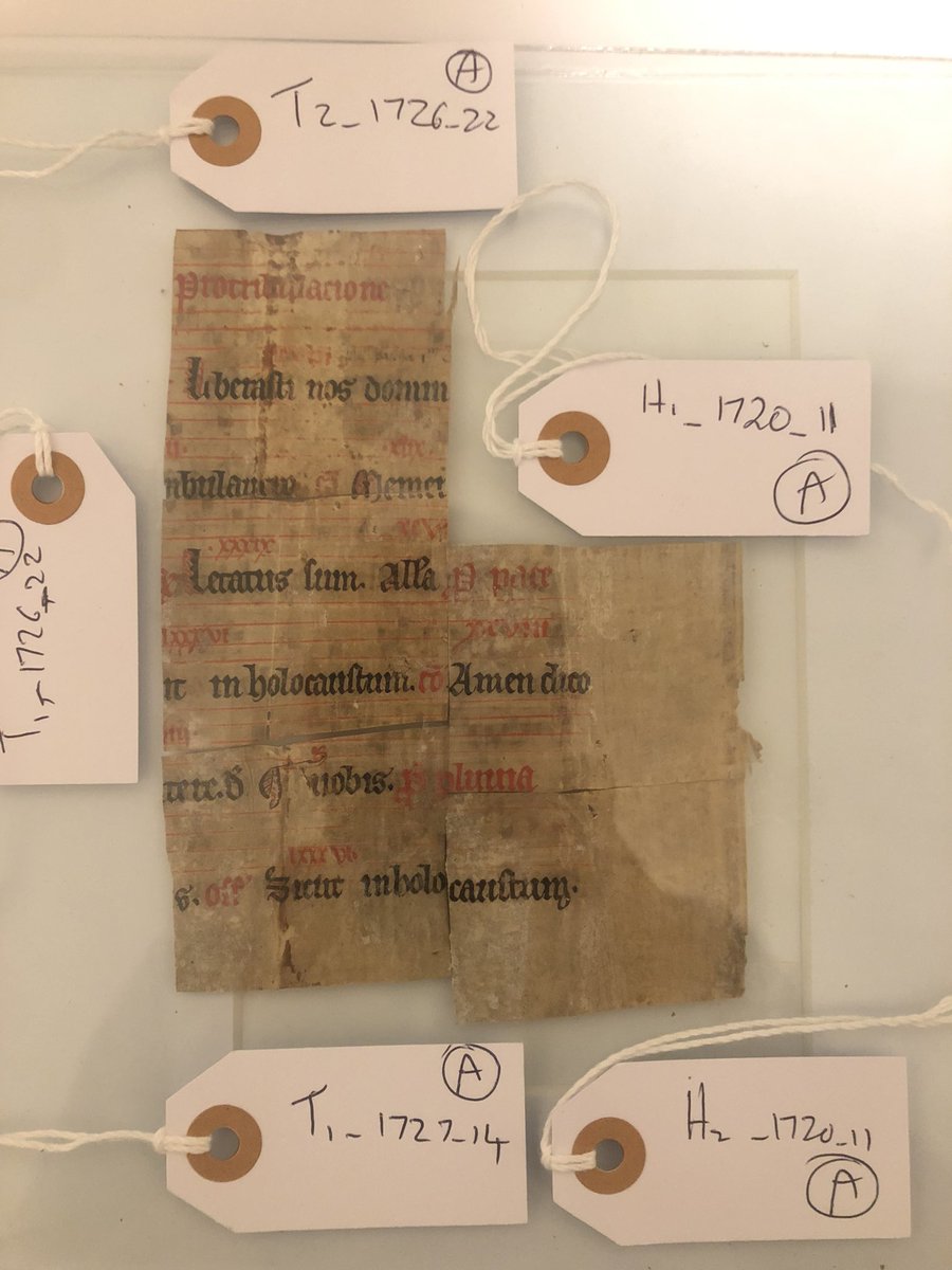 NickandBooks's tweet image. Super xcited! First of my fragments published by the team at Cantus!  It is from a late 13th Century Cistercian gradual. #fragmentfriday 

cantusdatabase.org/source/1000008
