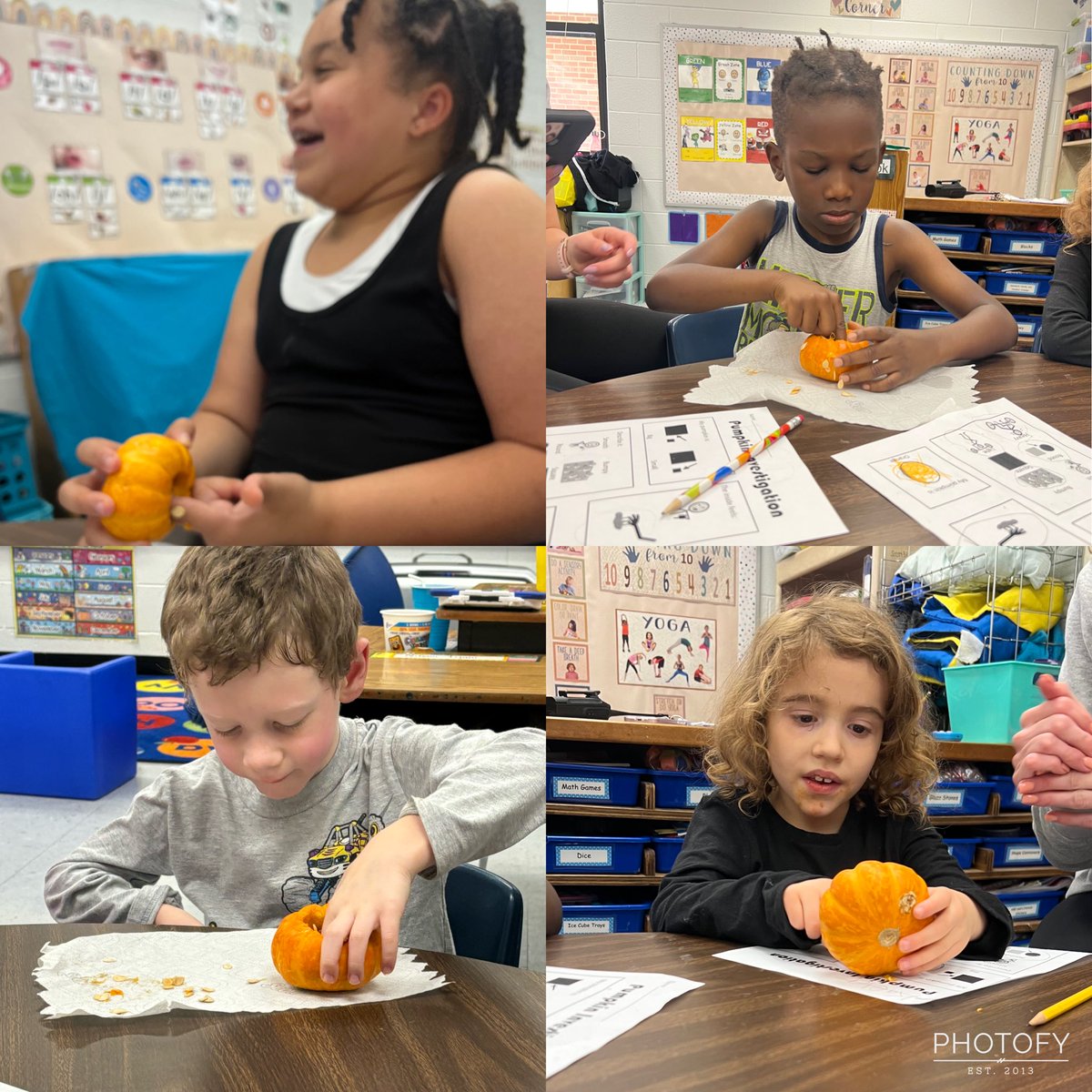 We made no bake pumpkin pie and explored inside pumpkins today! 🎃 #RESBelieves #ElevateStafford <a href="/RockhillES/">Rockhill Elementary</a>