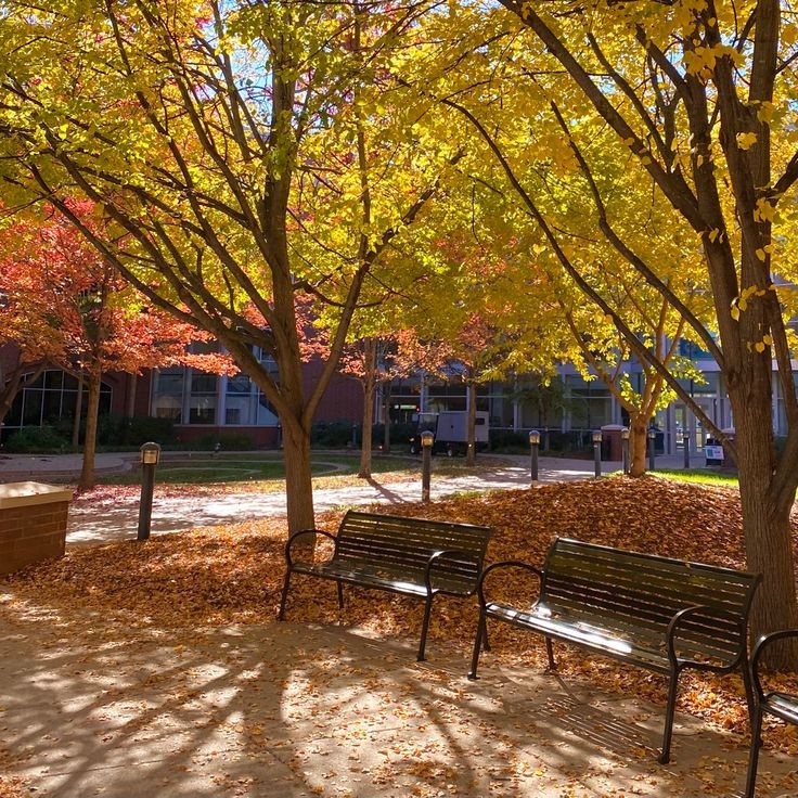 ͏ ͏͏ ͏𐙚 tweet media