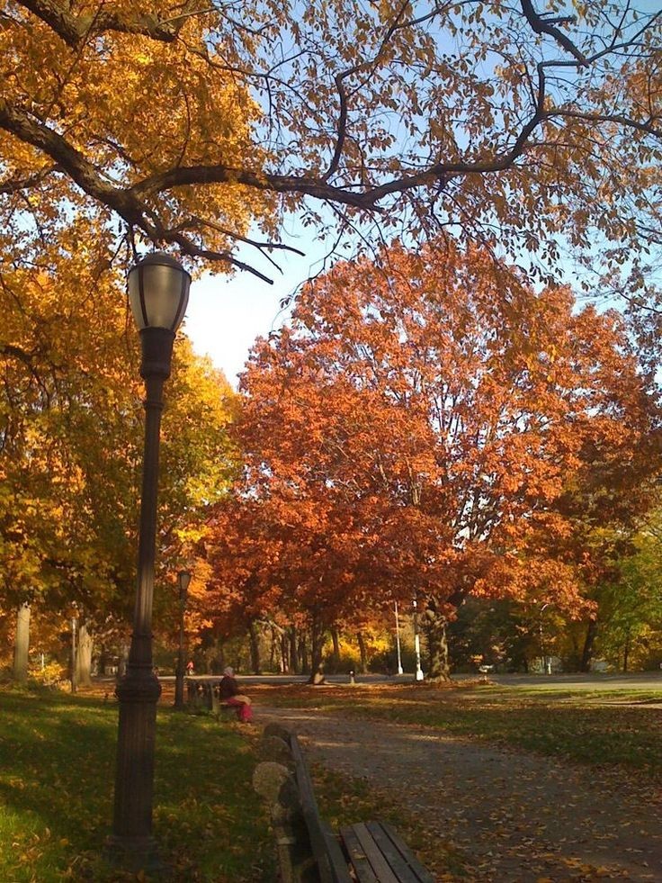 ͏ ͏͏ ͏𐙚 tweet media