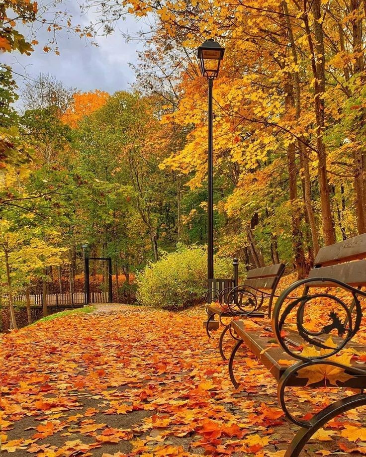 ͏ ͏͏ ͏𐙚 tweet media