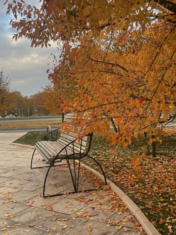 ͏ ͏͏ ͏𐙚 tweet media