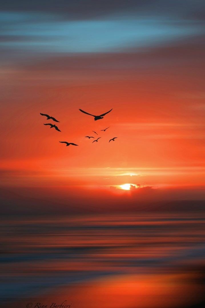 TLeoni311's tweet photo. Good evening 💫 🧡 https://t.co/37L3hqaHK7