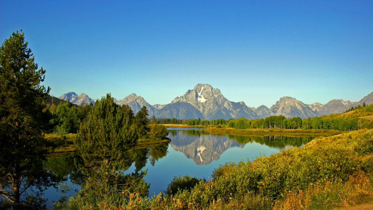 Craig Hastings - Author tweet media