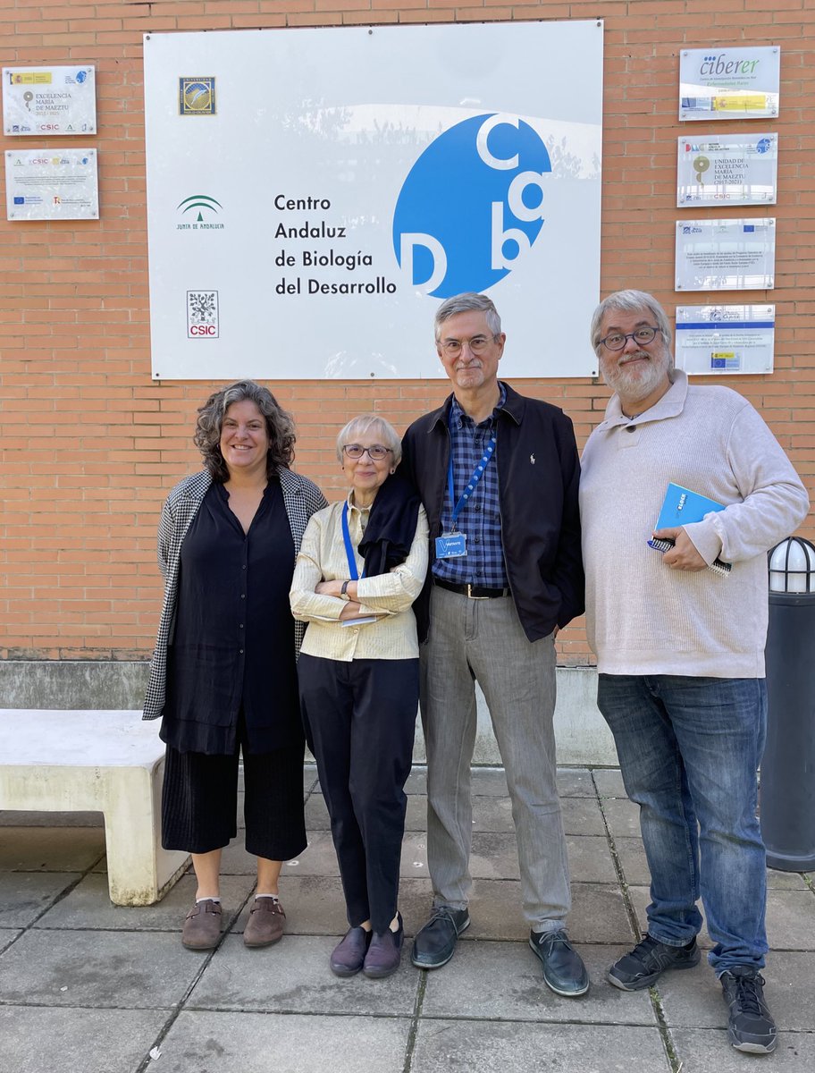 Centro Andaluz de Biología del Desarrollo (@cabd_upo_csic) on Twitter photo Outstanding talk today at #CABDseminars with Antonia Herrero from <a href="/IBVF_Sevilla/">IBVF</a> <a href="/cicCartuja/">cicCartuja</a> . Dr. Herrero talked about the extended work understanding Anabaena’s cell division. Antonia was hosted by <a href="/Parazelso/">Fernando Govantes</a> <a href="/LifeSwitchCABD/">Govantes Lab</a> Outstanding talk today at #CABDseminars with Antonia Herrero from <a href="/IBVF_Sevilla/">IBVF</a> <a href="/cicCartuja/">cicCartuja</a> . Dr. Herrero talked about the extended work understanding Anabaena’s cell division. Antonia was hosted by <a href="/Parazelso/">Fernando Govantes</a> <a href="/LifeSwitchCABD/">Govantes Lab</a>