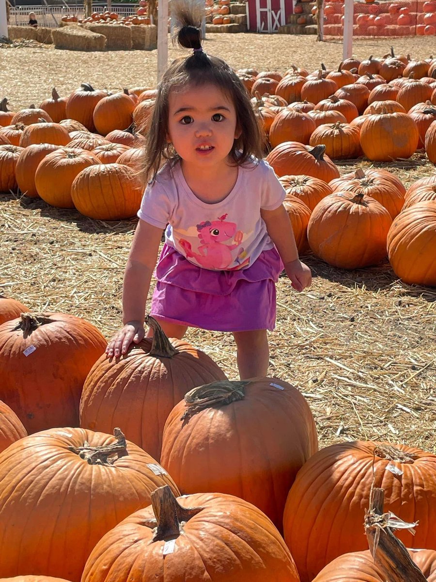 #Halloween #grandaughter Leia #PumpkinDay 🎃😍