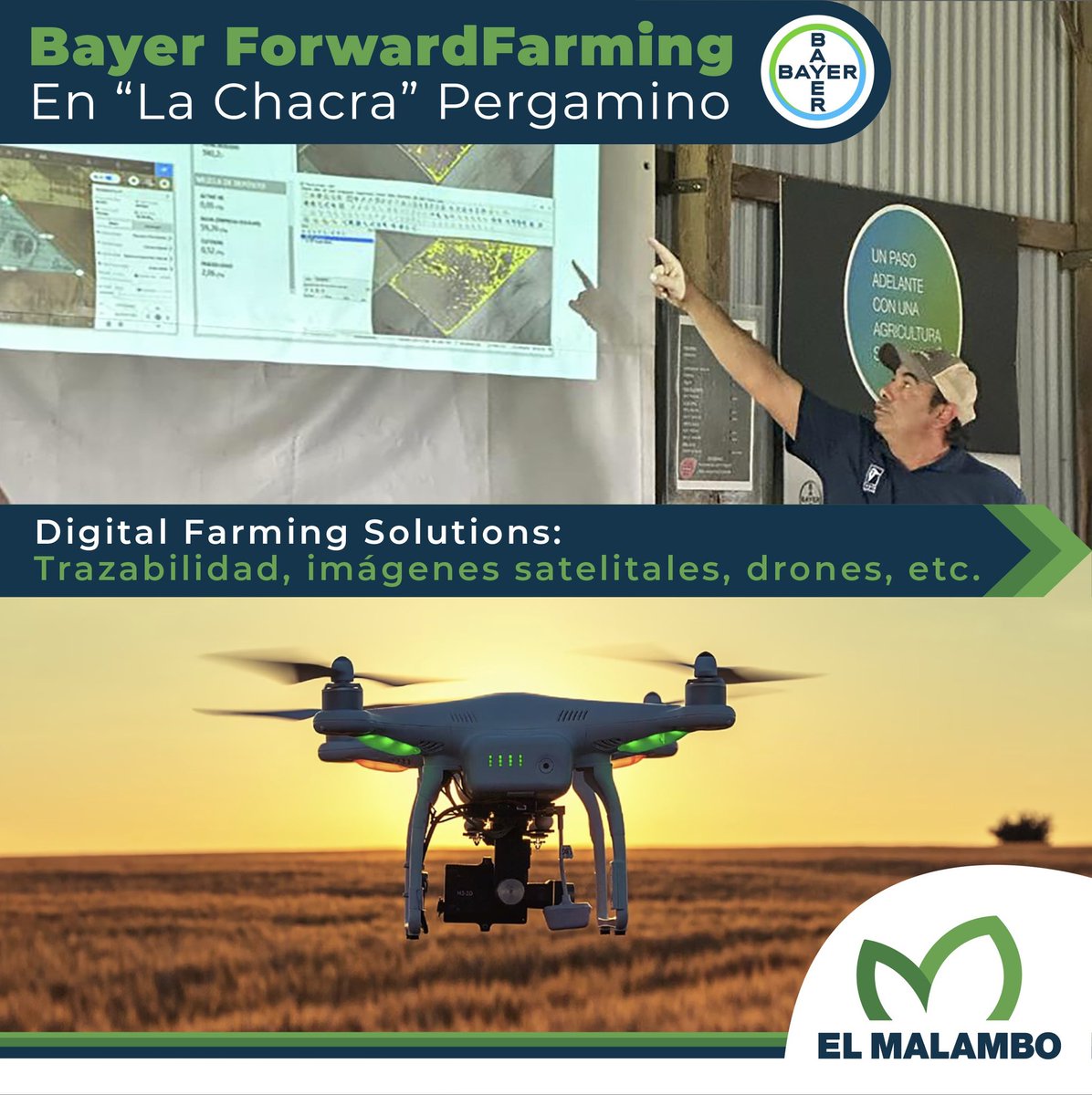 el_malambo's tweet photo. 📍 Visitamos Bayer Forward Farming.

👉🏻 El jueves 26 de octubre se llevó a cabo en “La Chacra” Pergamino la jornada de sistemas agroquímicos sustentables. https://t.co/22tDdCtbNe