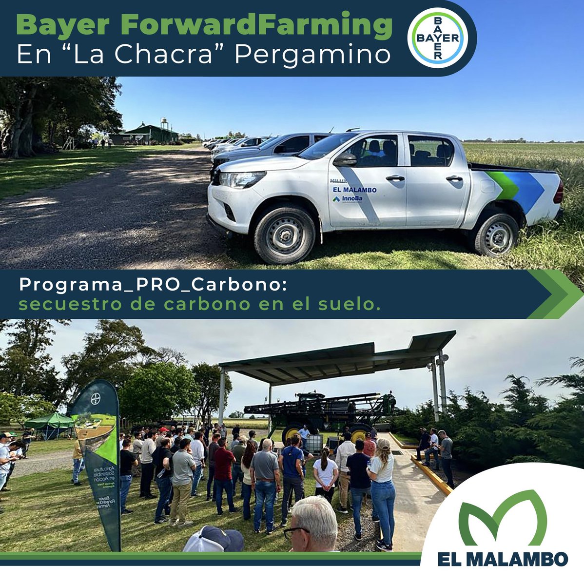 el_malambo's tweet photo. 📍 Visitamos Bayer Forward Farming.

👉🏻 El jueves 26 de octubre se llevó a cabo en “La Chacra” Pergamino la jornada de sistemas agroquímicos sustentables. https://t.co/22tDdCtbNe