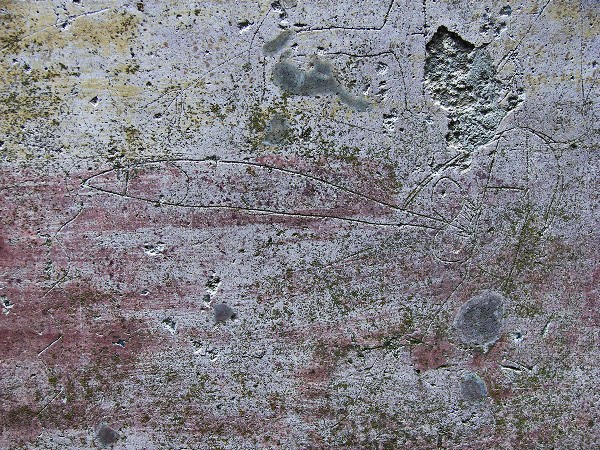 antigua_roma's tweet photo. No hemos cambiado nada en 2000 años... Échale un vistazo de cerca a este grafitto pompeyano y verás a lo que me refiero. A ver si descubres todos los detalles😅

Sígueme en este #HiloRomano de grafitos y pintadas pompeyanas. Reivindicaciones, arte, amor y... obscenidades. https://t.co/btdzSJwEby