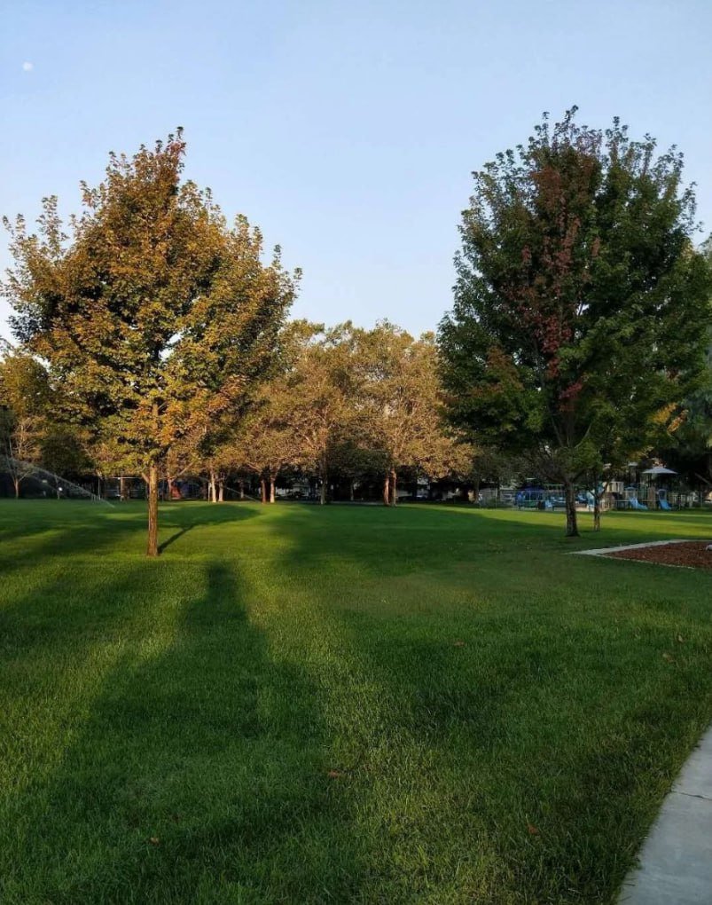 In the morning, the cool air is as fresh as milk, and the rising sun is as hopeful as a dream. At dawn, it’s not just the sunshine that lights up, but also your good mood. Good morning