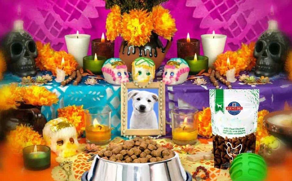 VerasNews's tweet photo. #EstiloyVida🐶😸 ¡Día de Muertos para Mascotas! 🕯️💀

El 27 de octubre representa un día de especial significado para miles de familias en México. 

Este día marca el regreso temporal de las mascotas que han partido de este mundo.

https://t.co/4IUlabrHcl https://t.co/jUGN3ruYxb