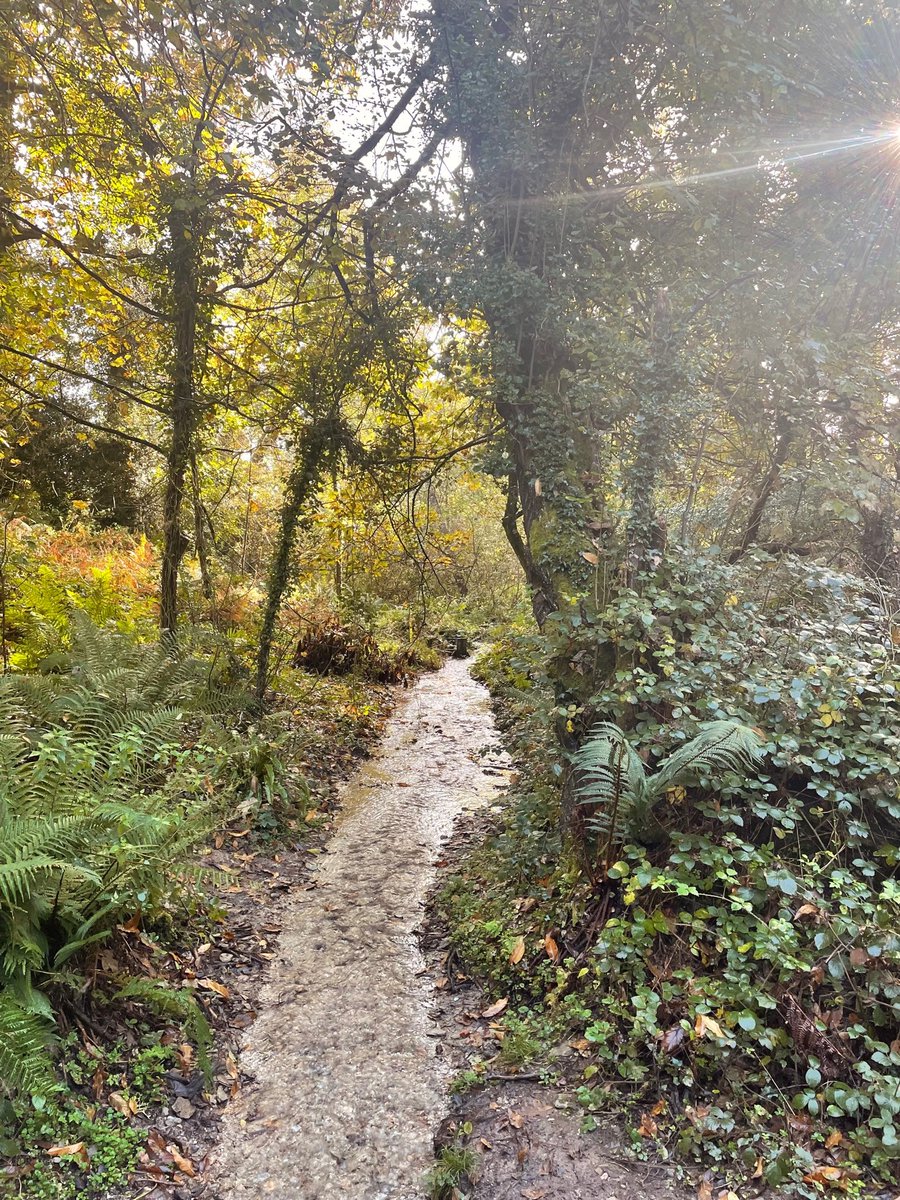 Somerset outdoor tweet media