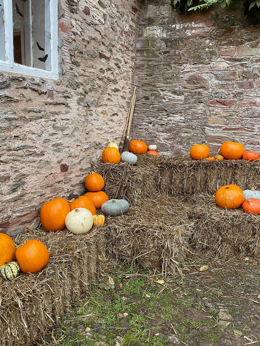 Somerset outdoor tweet media