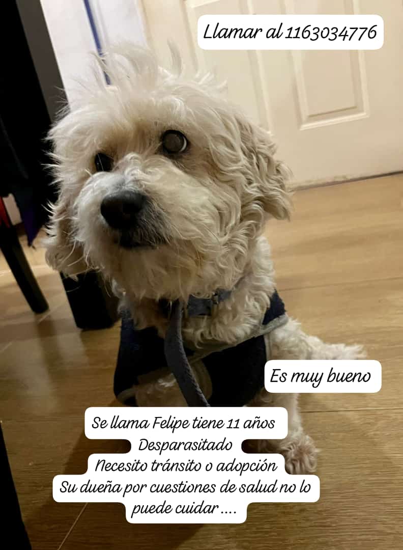 Pedido de difusión 🙏🏻