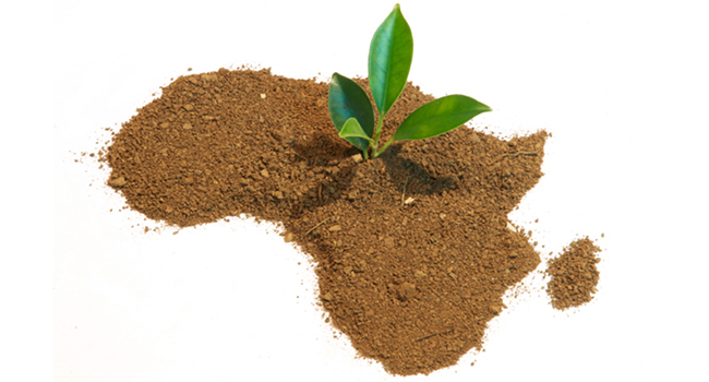 greeningaf's tweet photo. Baijukulu ba Kabalega muliyo π, mwetegere? @Hostalite, @nomaduganda bakwatagaine na @AbsaUganda niba'ija #Hoima kukinguraho omukolo gw'okubyaara emiiti #TreePlanting π±π±π±oguratandika ebiro 2 November. Mutaburaho baana ba Kabalega!!
#GreeningAfrica #GreenCity #AbsaGreenImpact https://t.co/abQri5OoVT