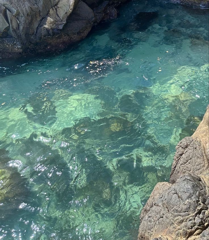 softdeIicacy's tweet image. blue green waters.