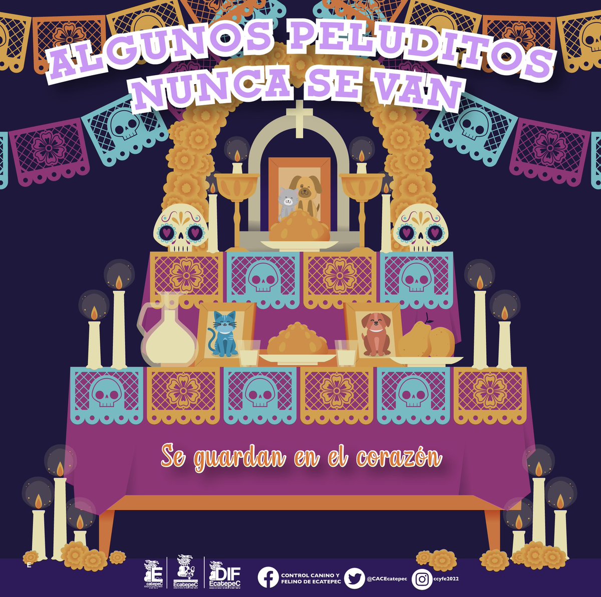 Hoy #27deoctubre llegaron nuestros peluditos para visitarnos una vez más desde el más allá. 🐾💀🏵️

#DIFEcatepec #MunicipioConValores  #DíaDeMuertos