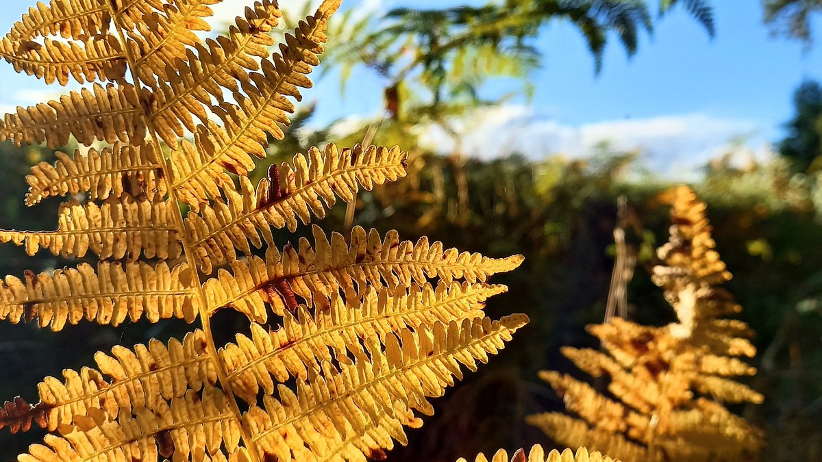 Jede dunkle Nacht hat ein helles Ende.
.
~Nizami~
.